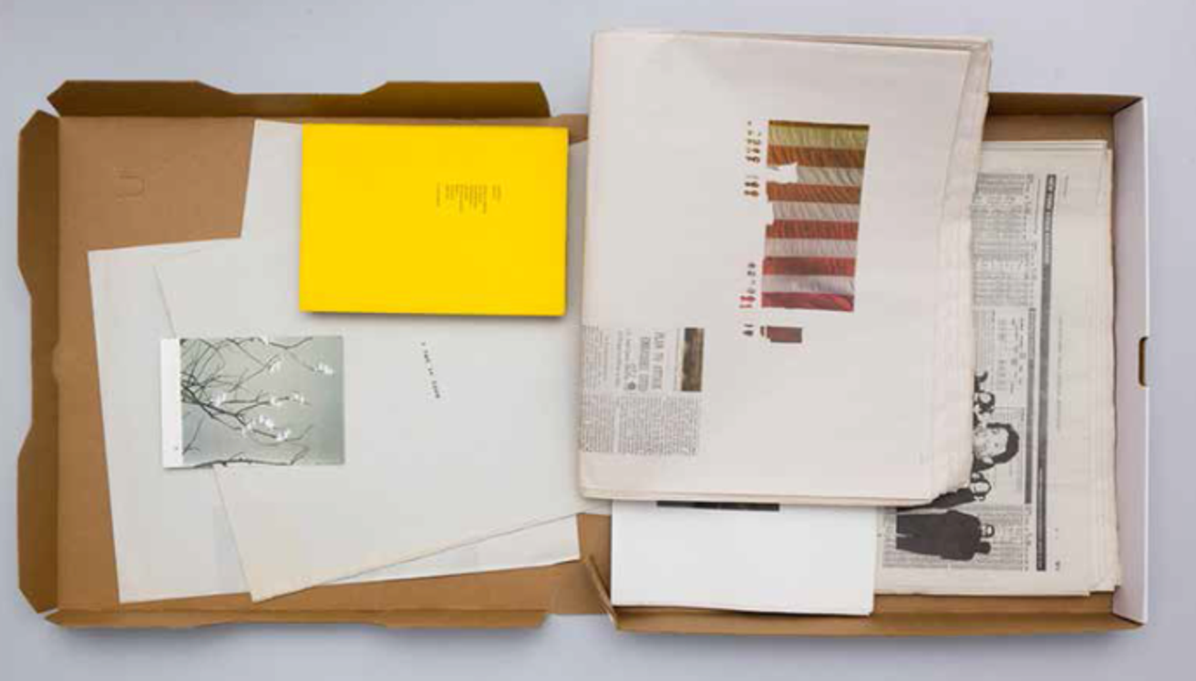 United We Stand thumbnail 3