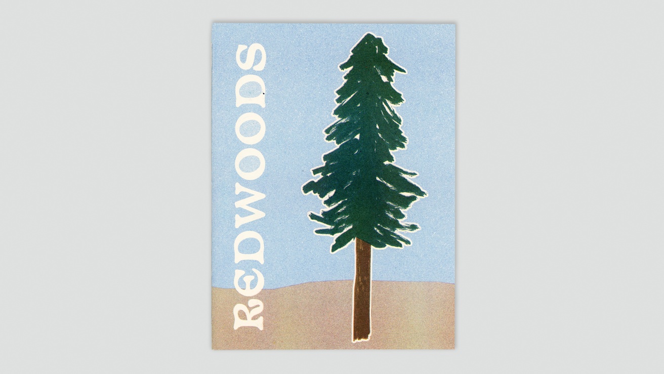 Redwoods thumbnail 1