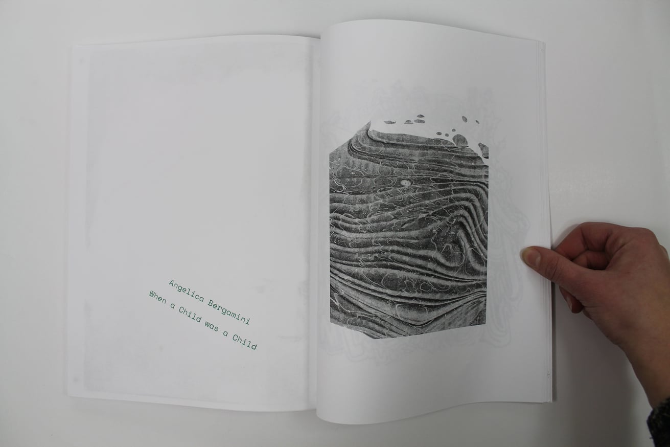 Endless Biennial thumbnail 5