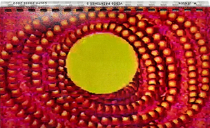 Video Paintings Vol. 2