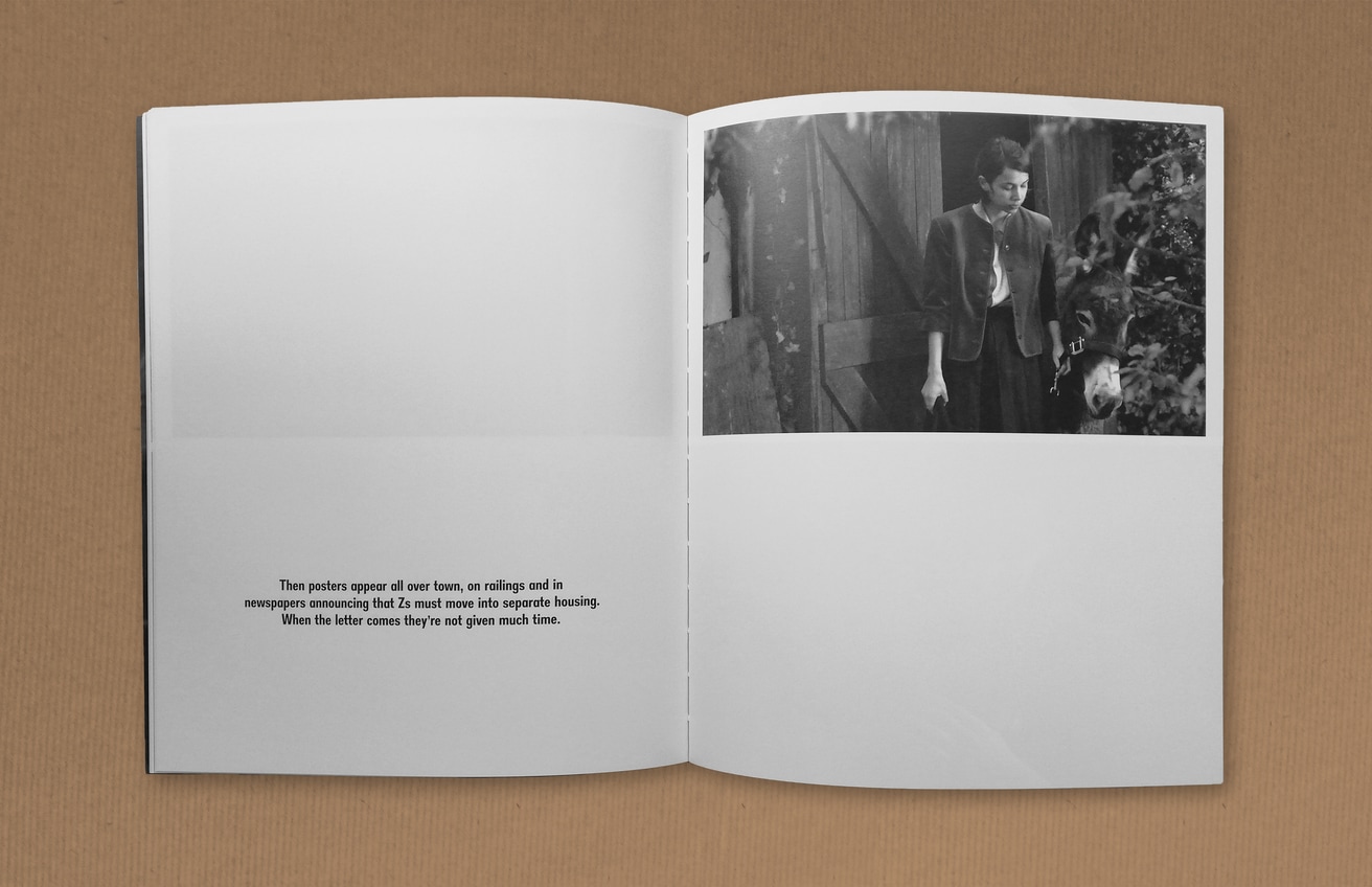 The Donkey Field thumbnail 4