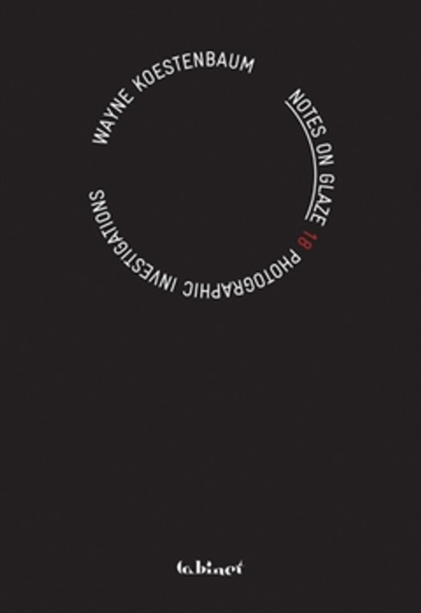 Notes on Glaze : 81 Photographic Investigations