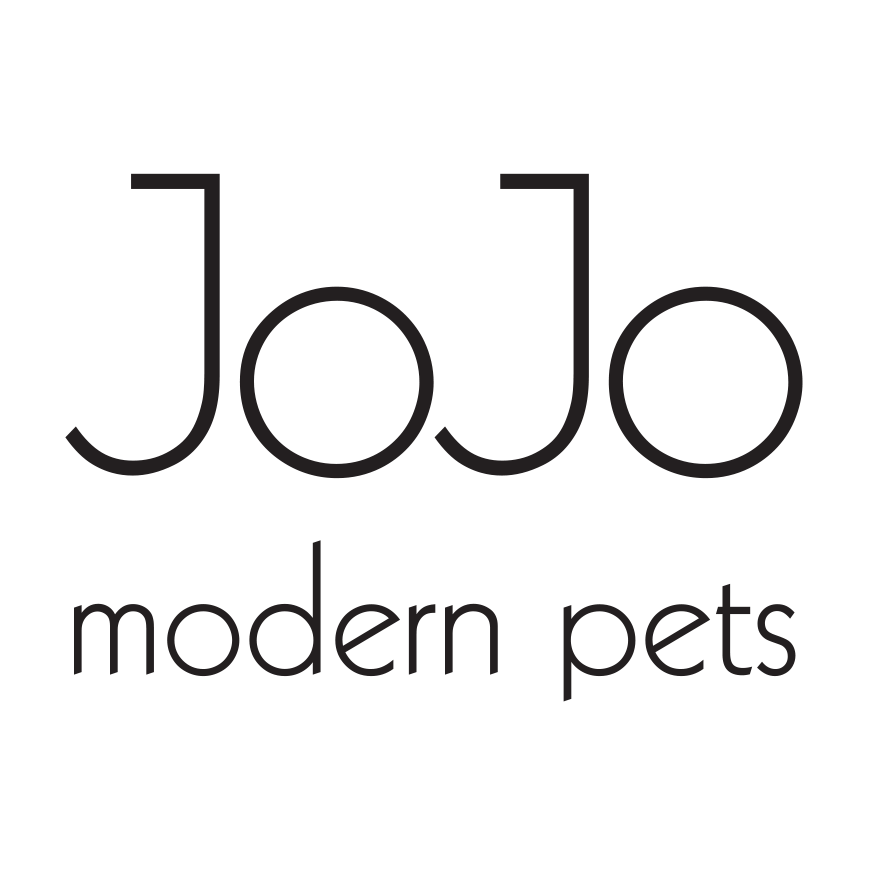 jo-jo-modern-dogly