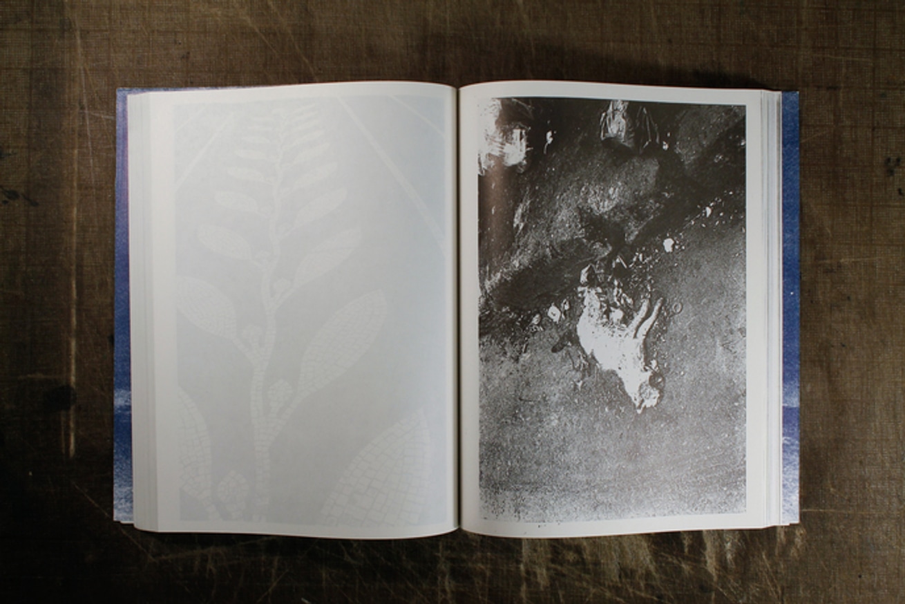 Absent without Leave - standard edition                                                                                                                                                                                                                         thumbnail 2