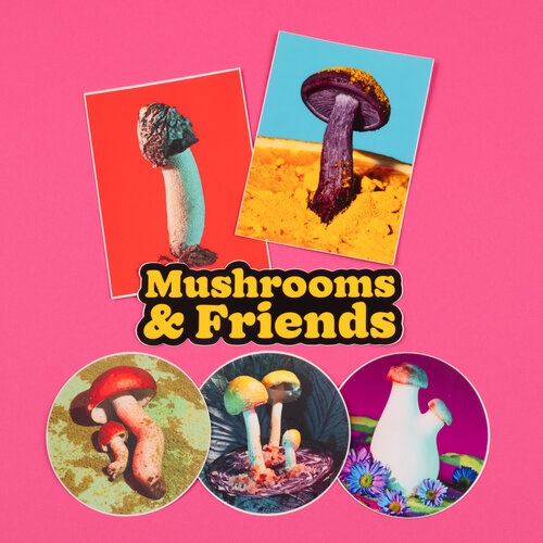 Mushroom and Friends Sticker Pack