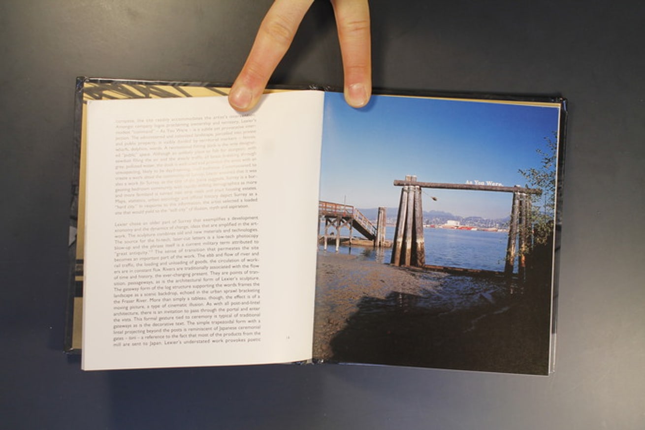 A Project for Surrey & Other Site-Specific Works thumbnail 4