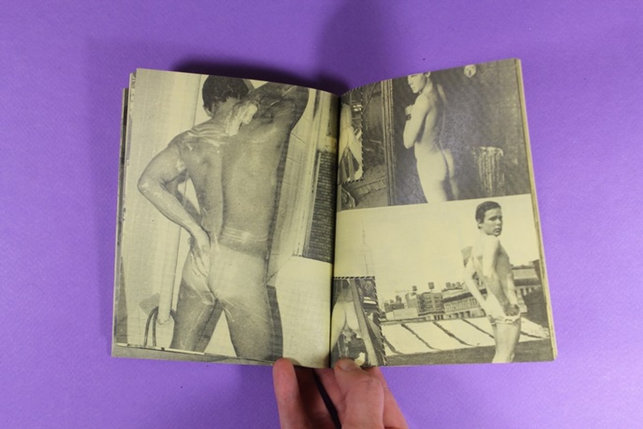 GAY SEX IS THE ANSWER, VOL. 1 thumbnail 5