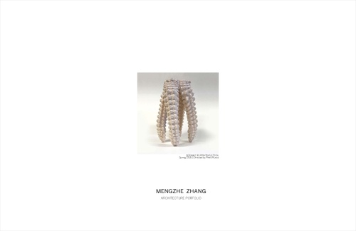 AAD ZhangMengzhe SP20 Portfolio.pdf_P1_cover.jpg