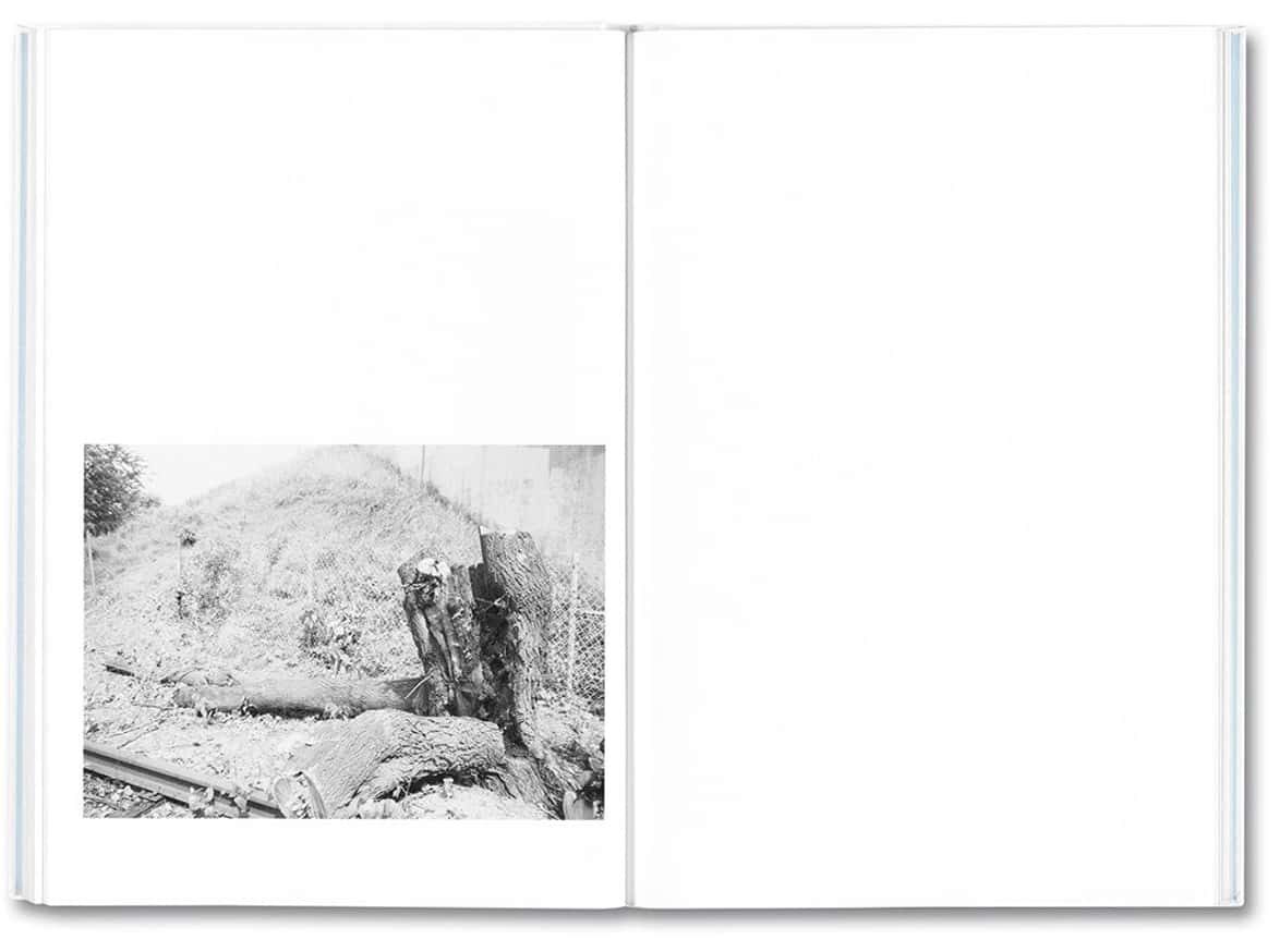 Somersault thumbnail 3