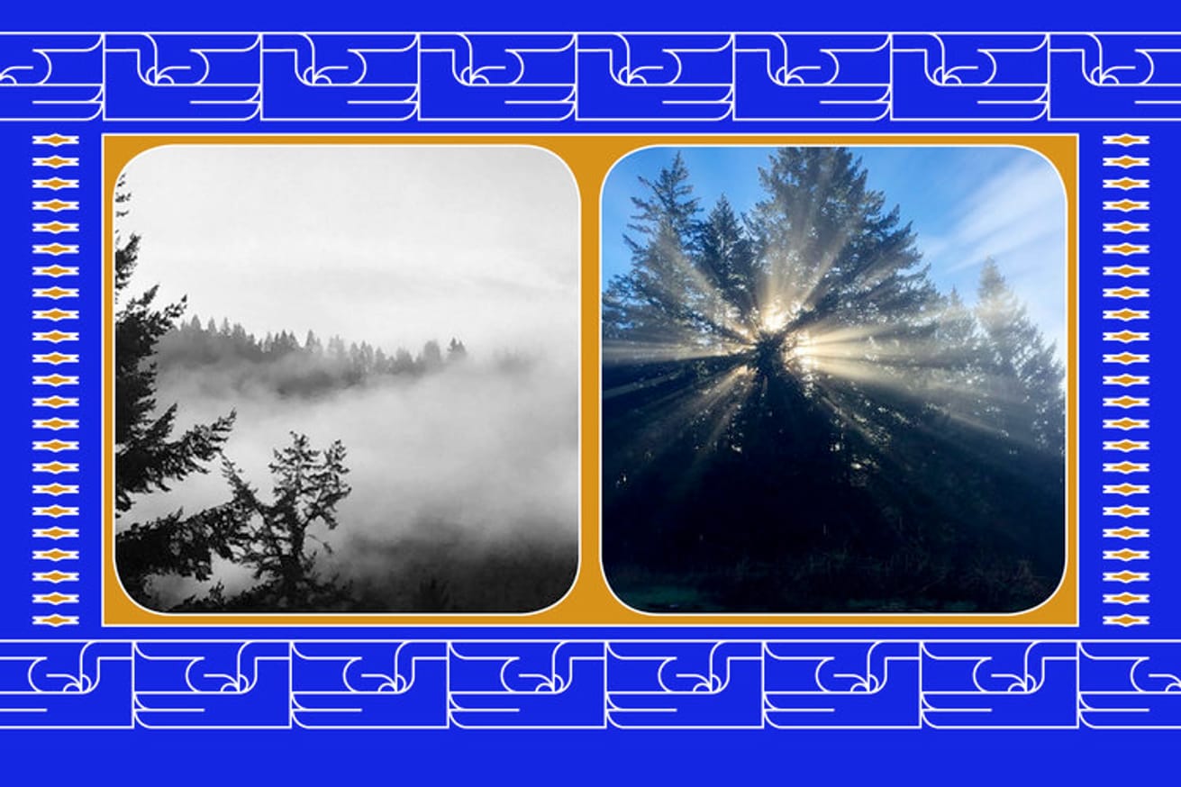 Some Say Paper is a Kind of Stone thumbnail 2