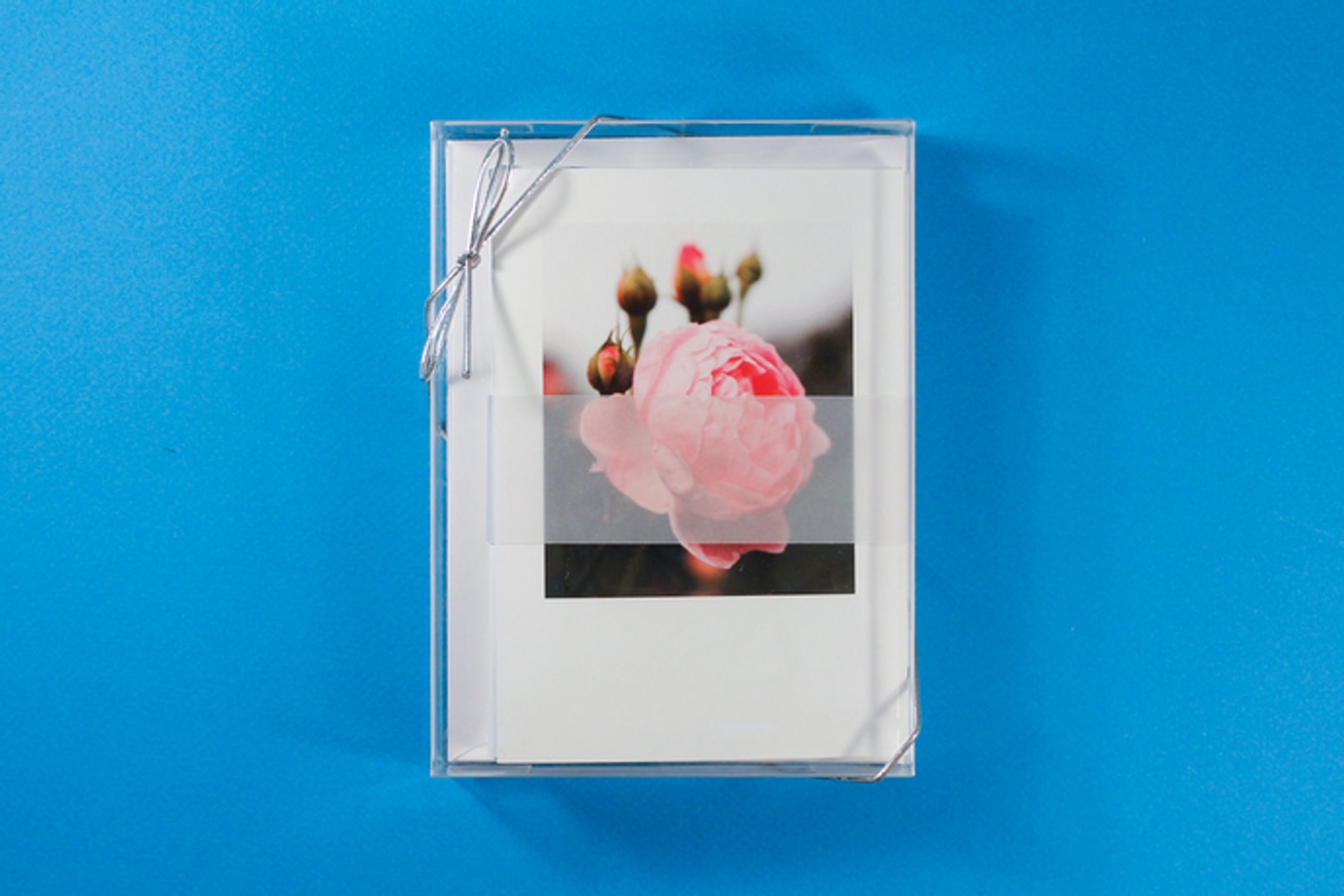 Selections from the National Rose Garden Notecard Set