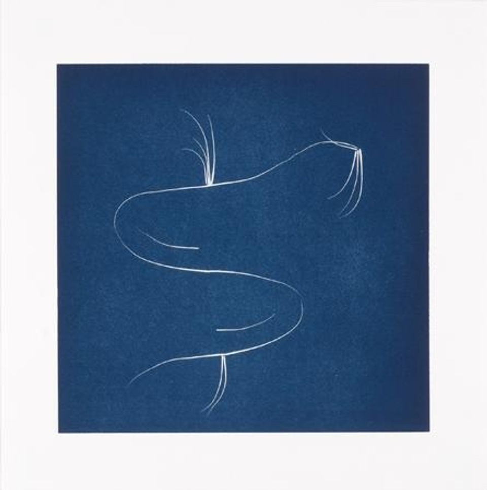 Image of abstract white line drawing on dark blue printed background