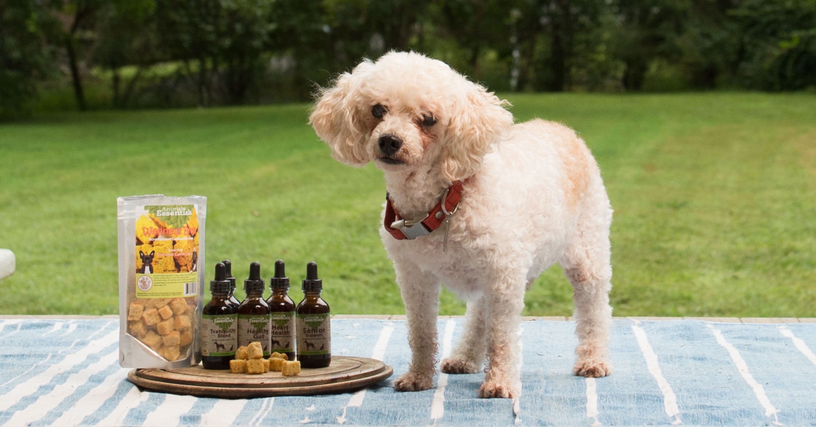 Slippery Elm Supplement Dogly