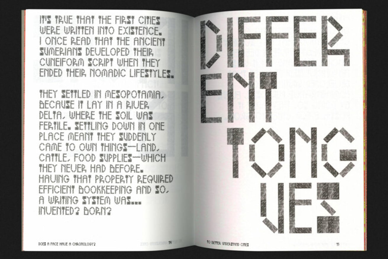 Does a Face Have a Chronology? thumbnail 7