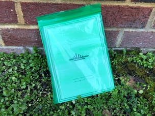 Entangled Thicket/The Pond