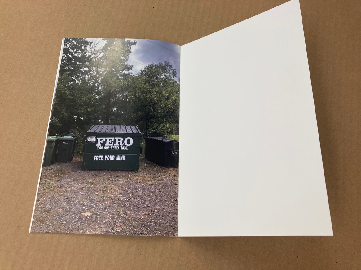 Year of the Dumpster thumbnail 4