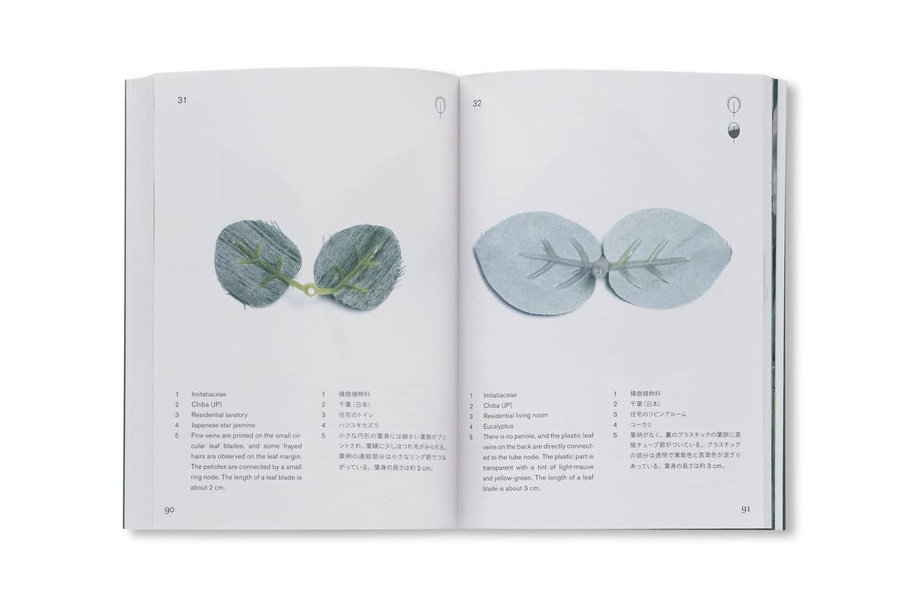 Anthropophyta thumbnail 5