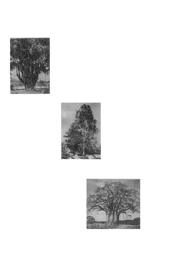 Je Suis en Face, 2020 thumbnail 5