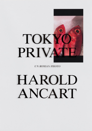 Tokyo Private (Un Roman Photo)
