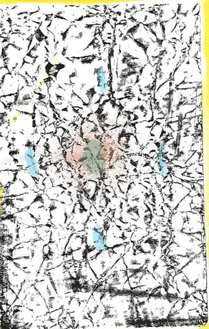 MOVE #50 [Special Edition]