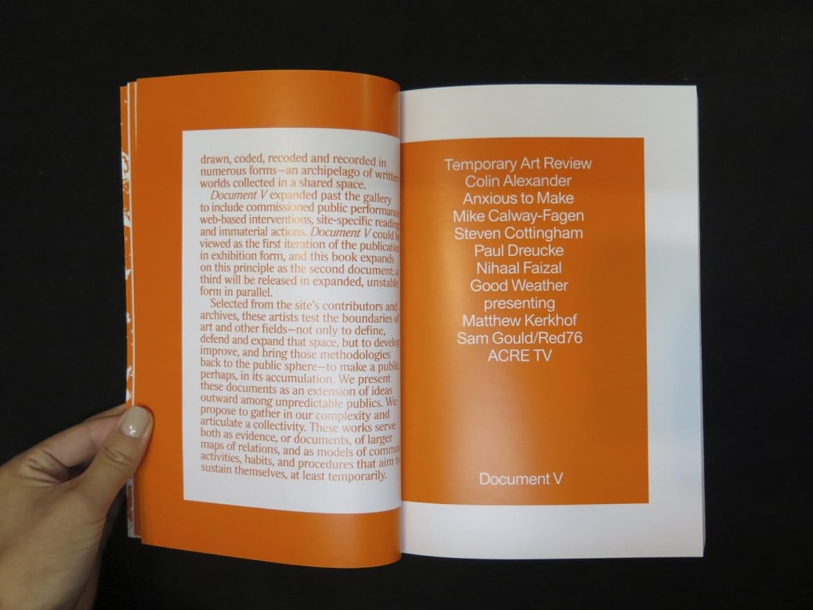 To Make A Public: Temporary Art Review 2011-2016 thumbnail 3