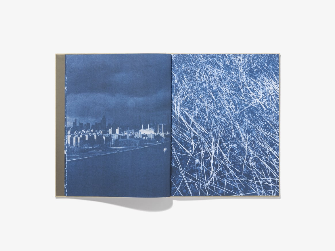 Ecstatic Nature thumbnail 6