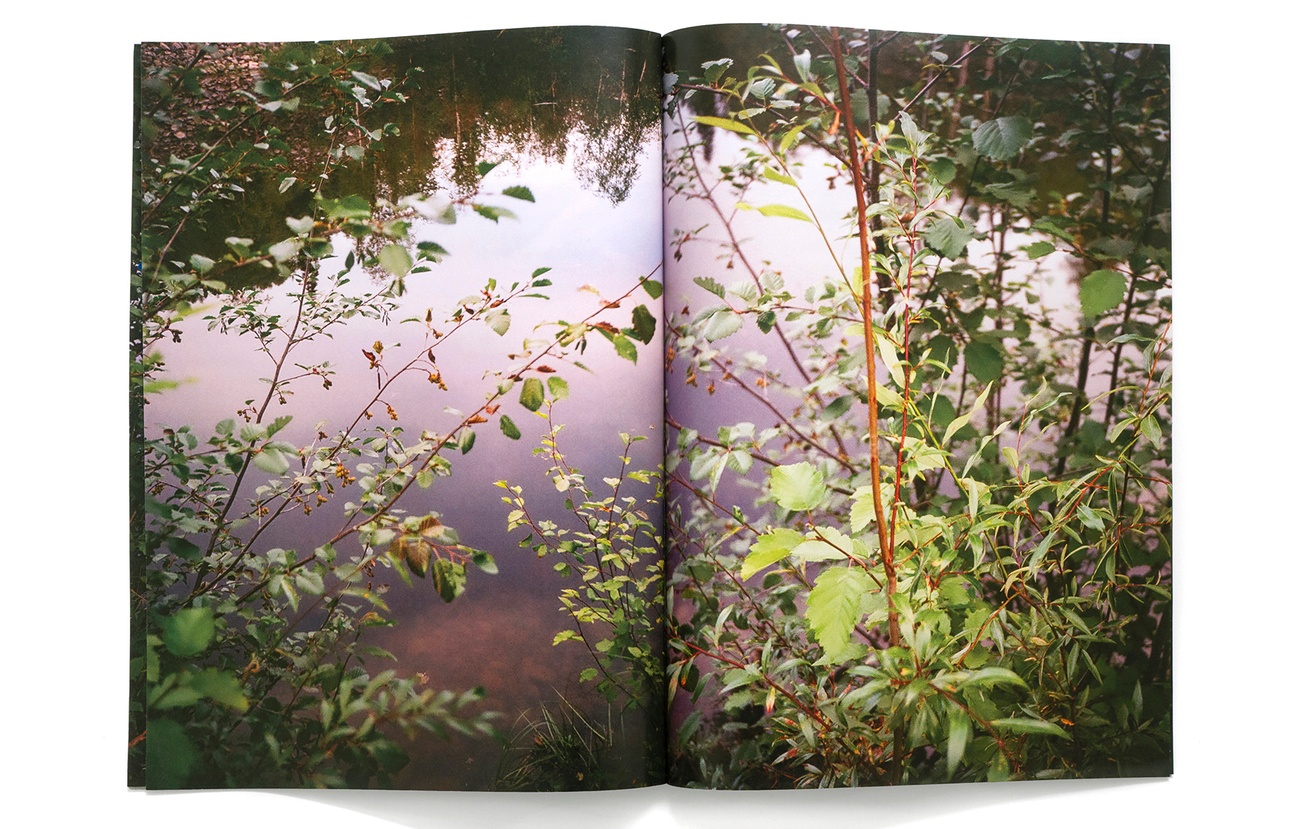 Pond thumbnail 3
