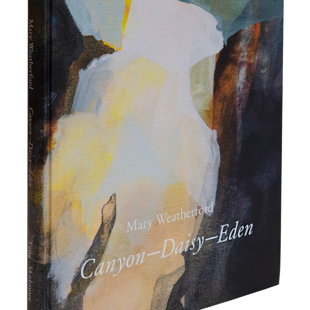 Front angle of the cover of Canyon — Daisy — Eden, featuring the title of the book and large swaths of color in abstract forms.