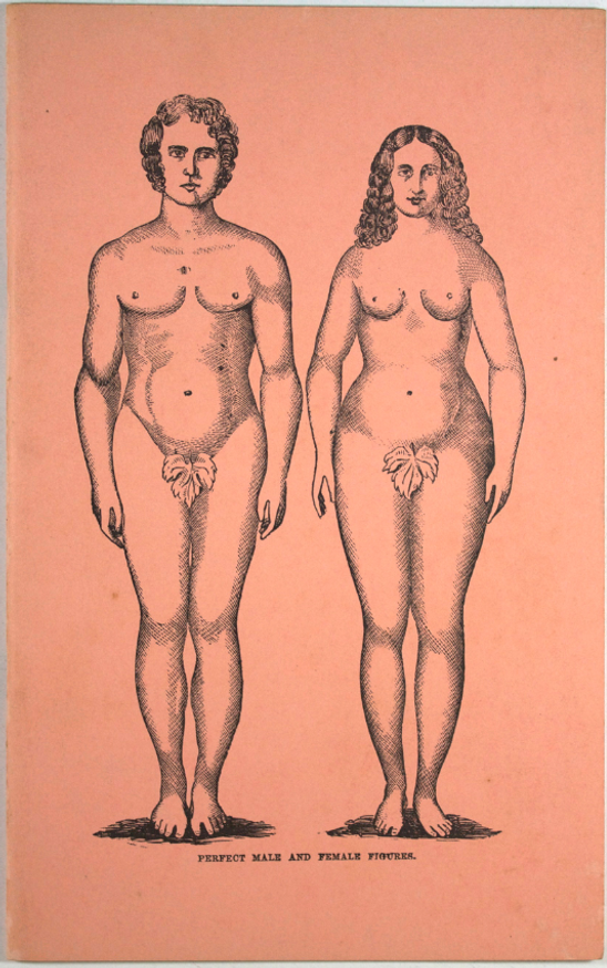 The Grace & Beauty of the Human Form