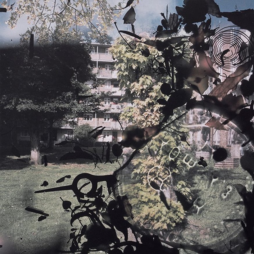 Talking to Ants thumbnail 4