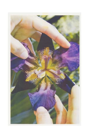 reborn today, after a long repose in oblivion