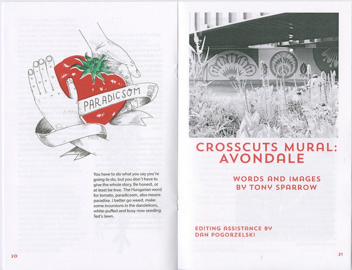 KOSHKA #4 : The Midwest Issue thumbnail 2