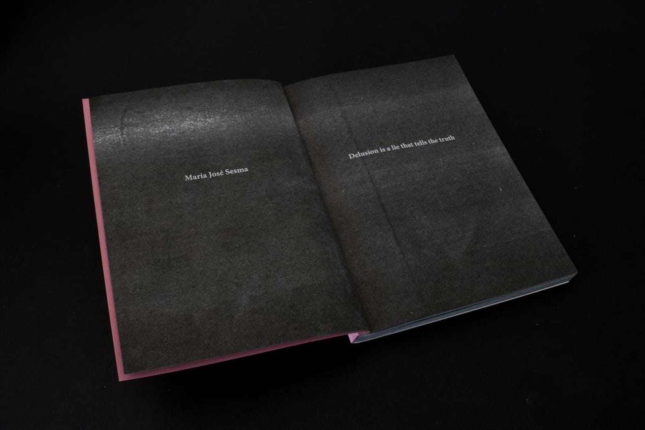 Delusion is a lie that tells the truth thumbnail 2