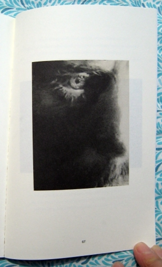 Drawings thumbnail 3