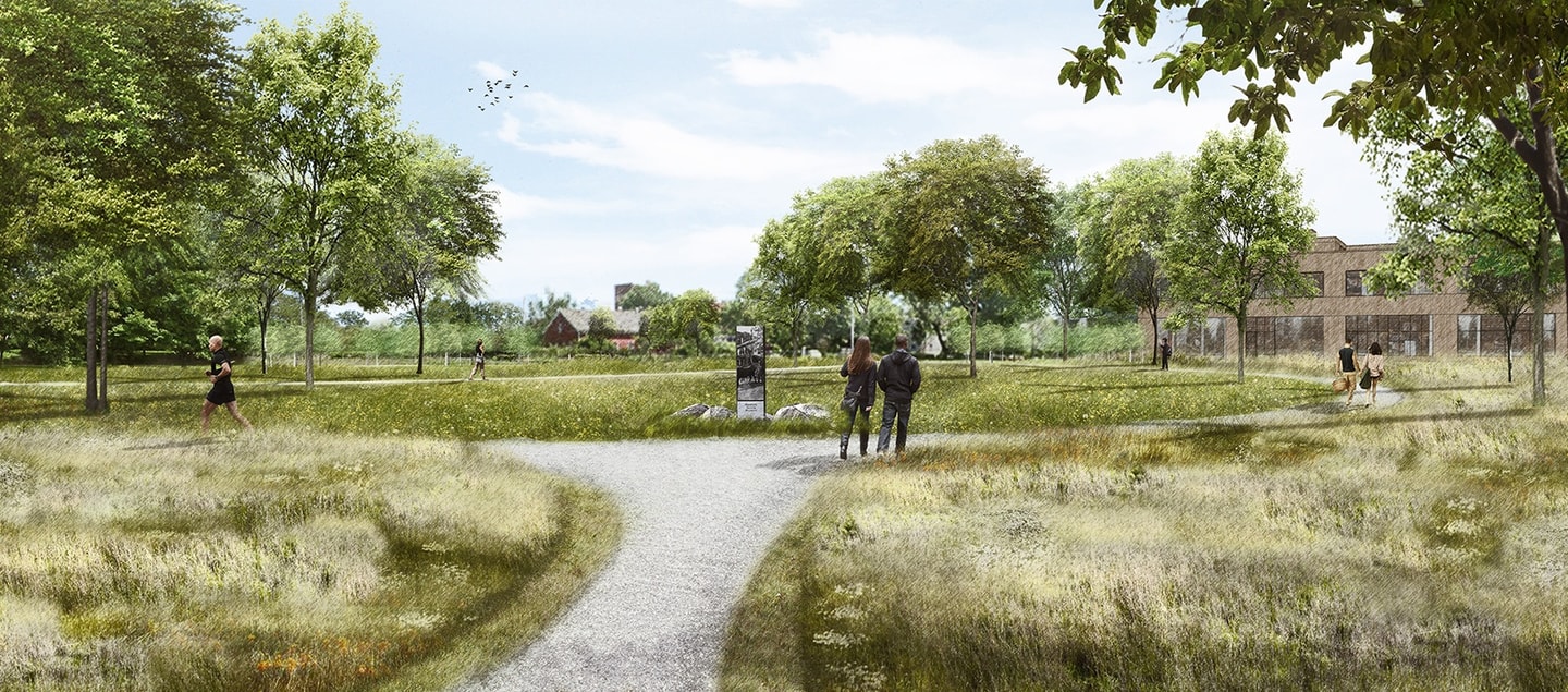 View of an empty green lot at a park