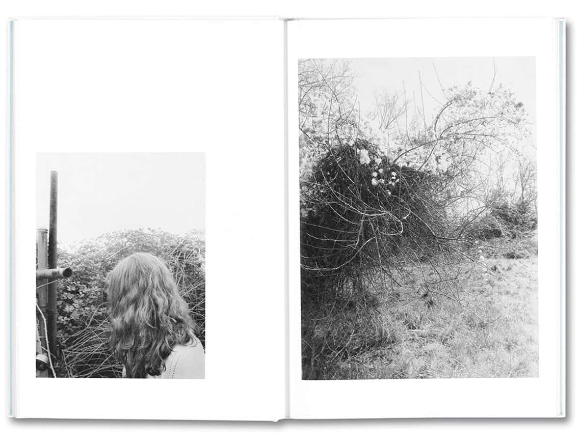 Somersault thumbnail 6