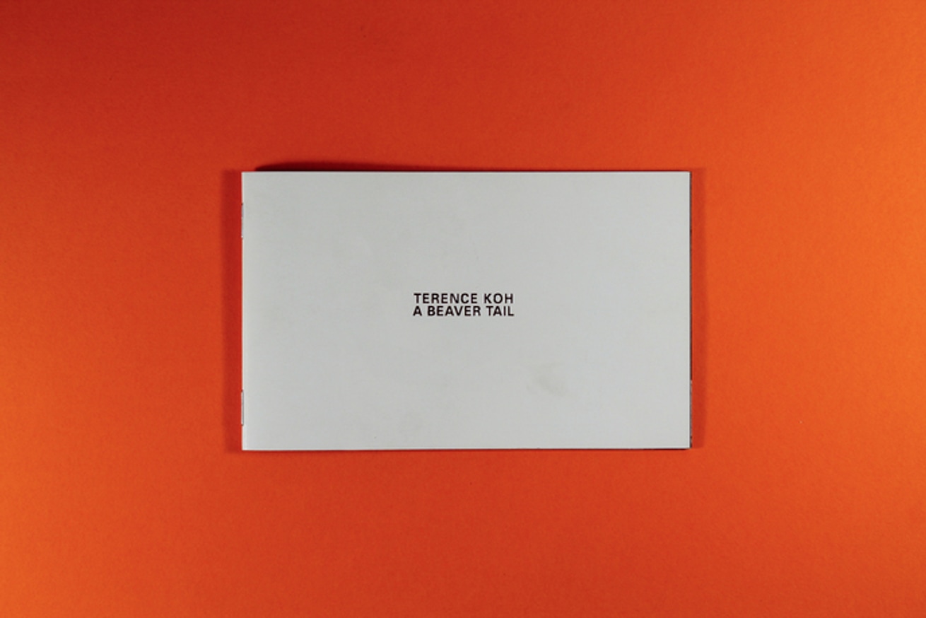 A Beaver Tail thumbnail 3