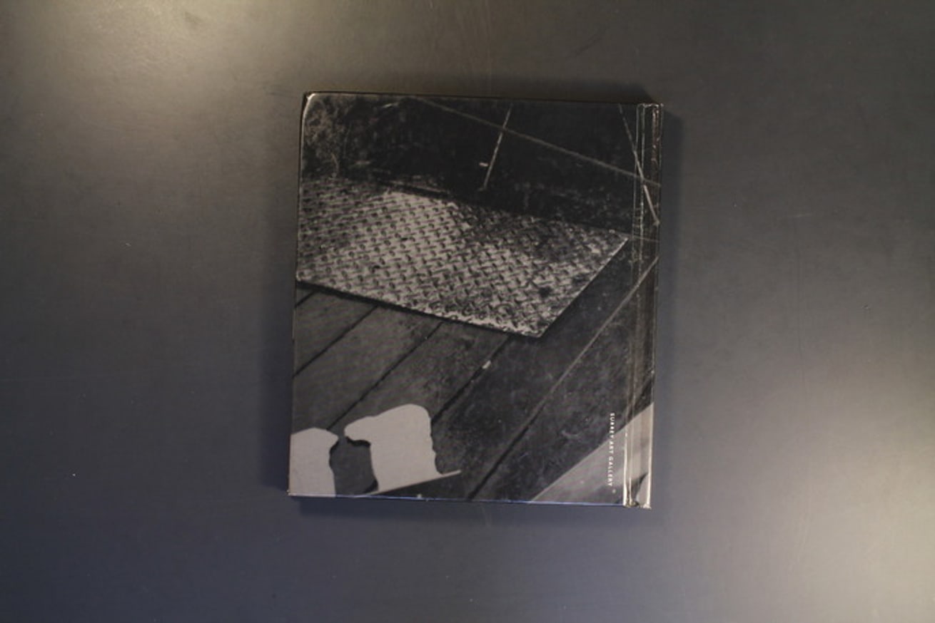 A Project for Surrey & Other Site-Specific Works thumbnail 2