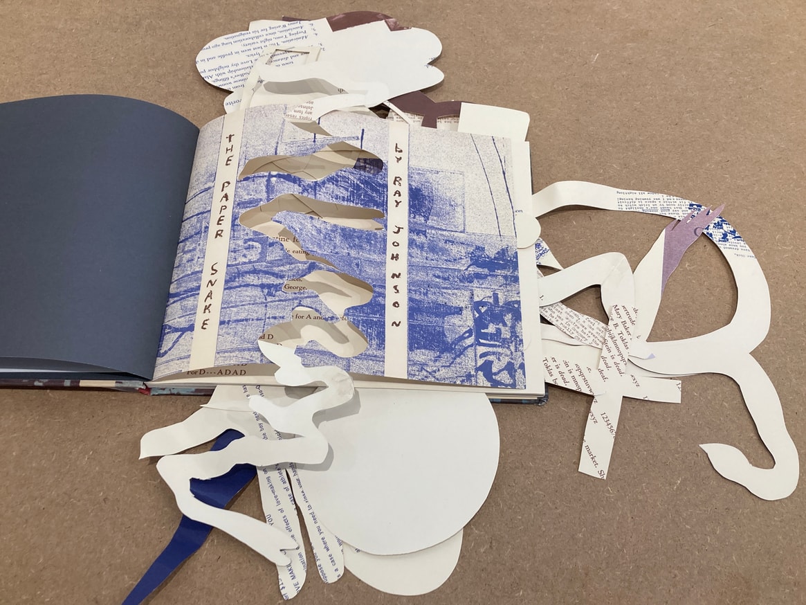 Cut Book (The Paper Snake) thumbnail 2