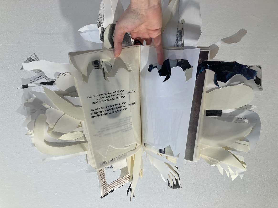 Cut Book (The_____Reader : 160 Books To Be Read With Eyes Ears Mind Body Use) thumbnail 5