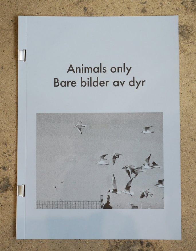 Animals only / Bare bilder av dyr