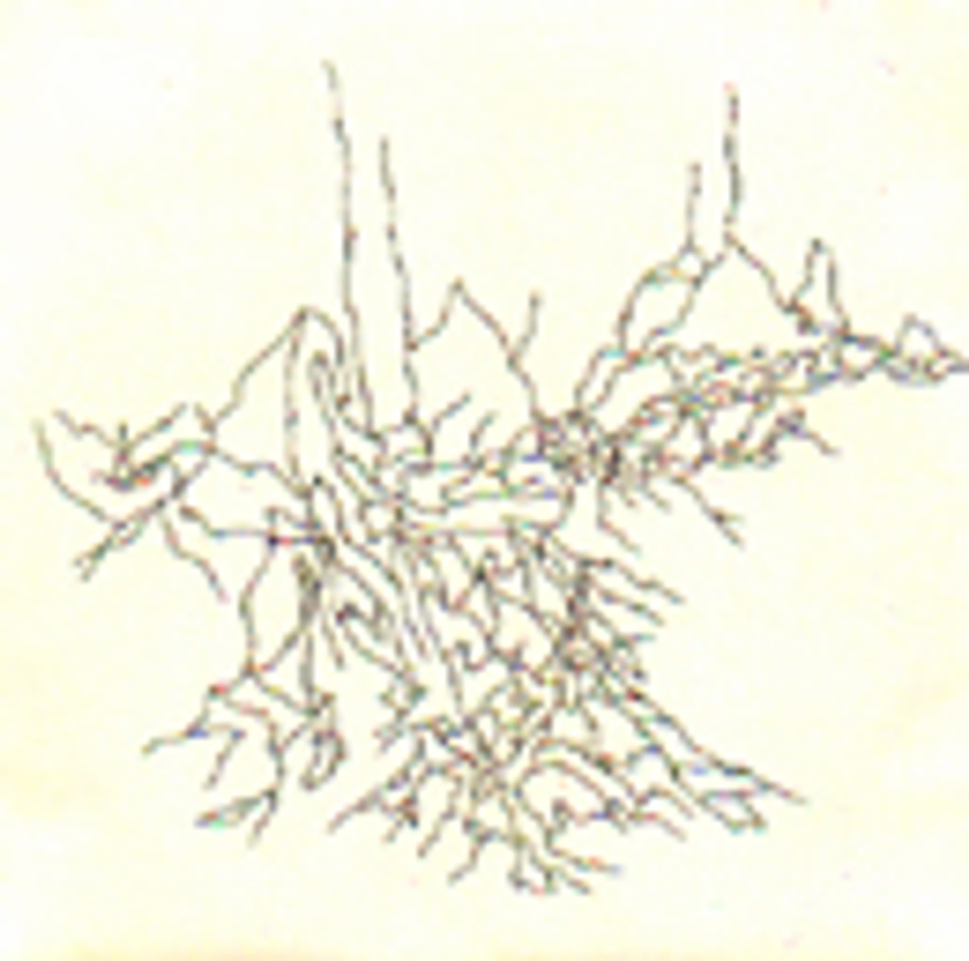 Mouthus and Valerie Allen