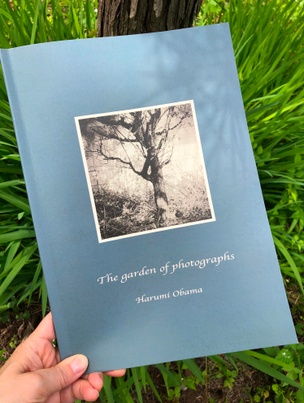 The Garden of Photographs