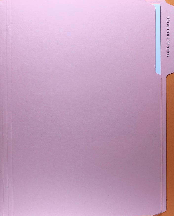 The Evolution of Psychosis