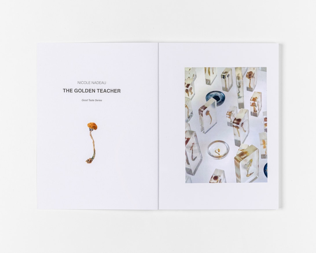 The Golden Teacher thumbnail 4