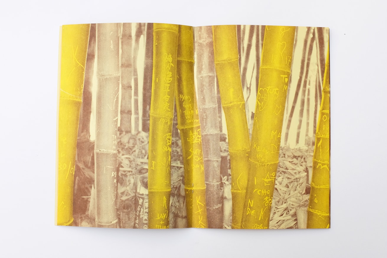 WRITTEN NAMES #3: Names and Dates Carved into Bamboo, San Marino, California thumbnail 3