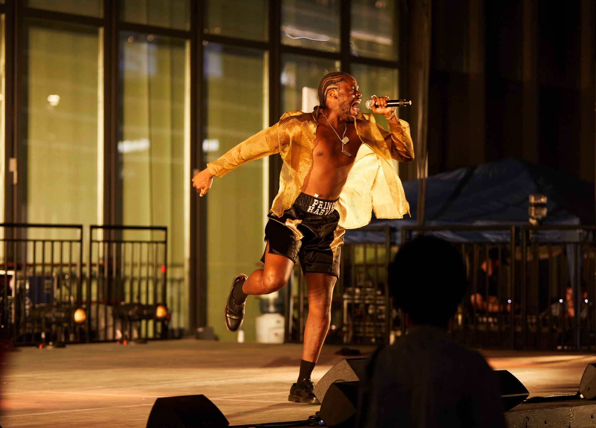 Singer singing into mic on dramatically lit stage.