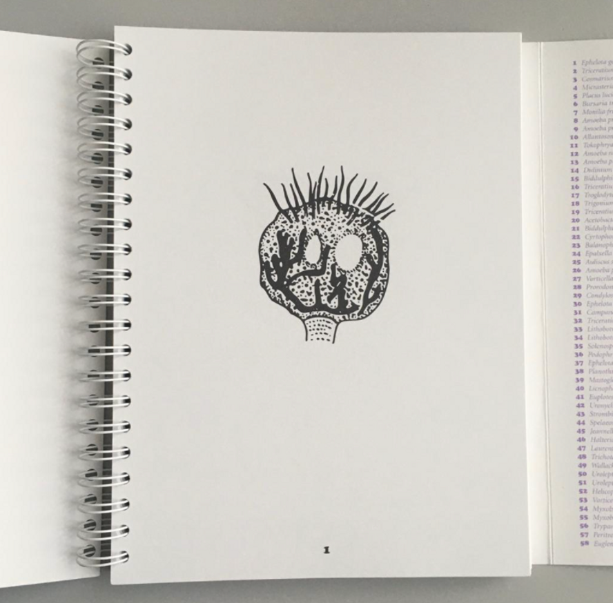 Animalcules Coloring Book thumbnail 3