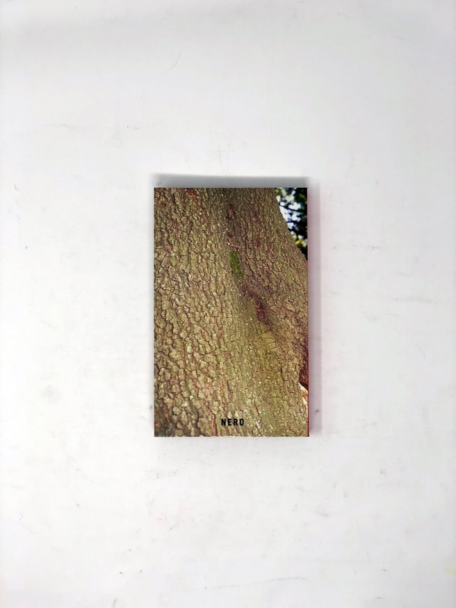 A brief account of Alessandro Cicoria's life and work. thumbnail 4