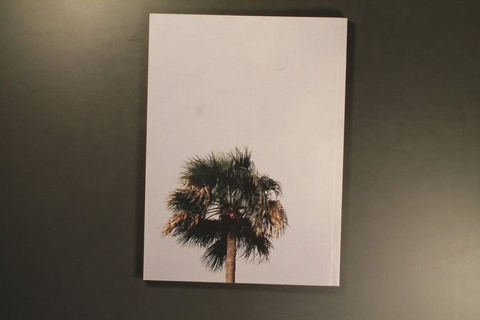 Twenty Palm Trees of Santa Cruz de Tenerife thumbnail 2
